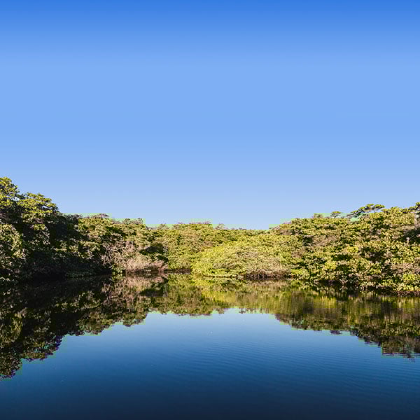 Îles De Galapagos